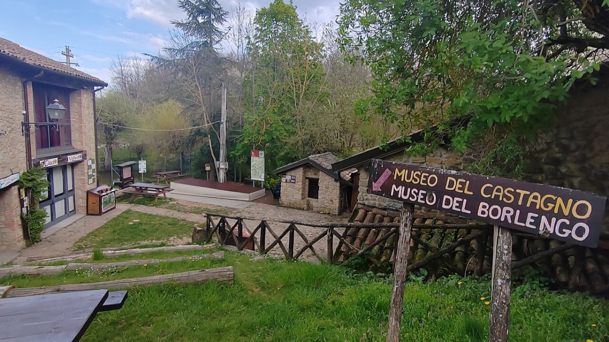 sagra delle castagne