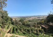 Casale in vendita