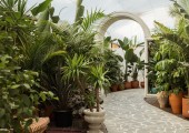 creare un giardino tropicale