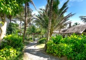 creare un giardino tropicale