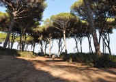 torre astura