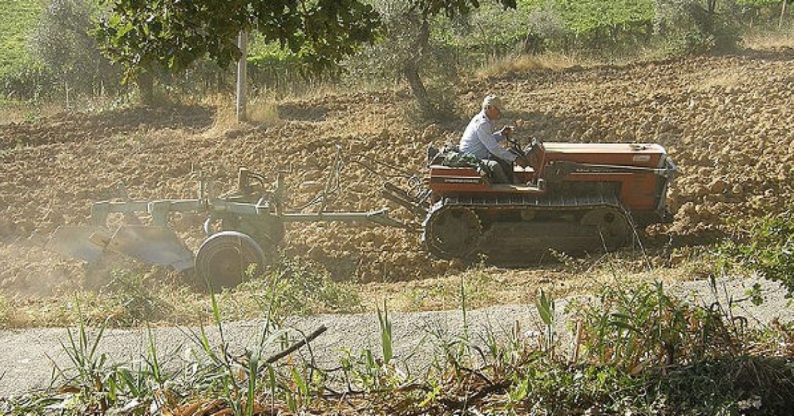 Elenco dei comuni montani esenti dall'Imu sui terreni agricoli