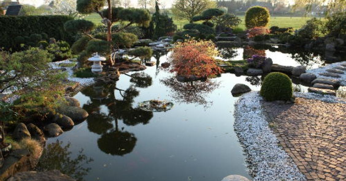 Reinventare un giardino