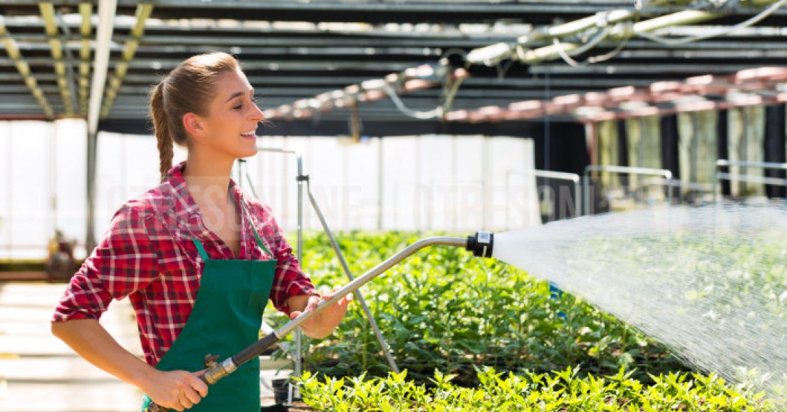 Bonus verde 2019, la circolare delle Entrate