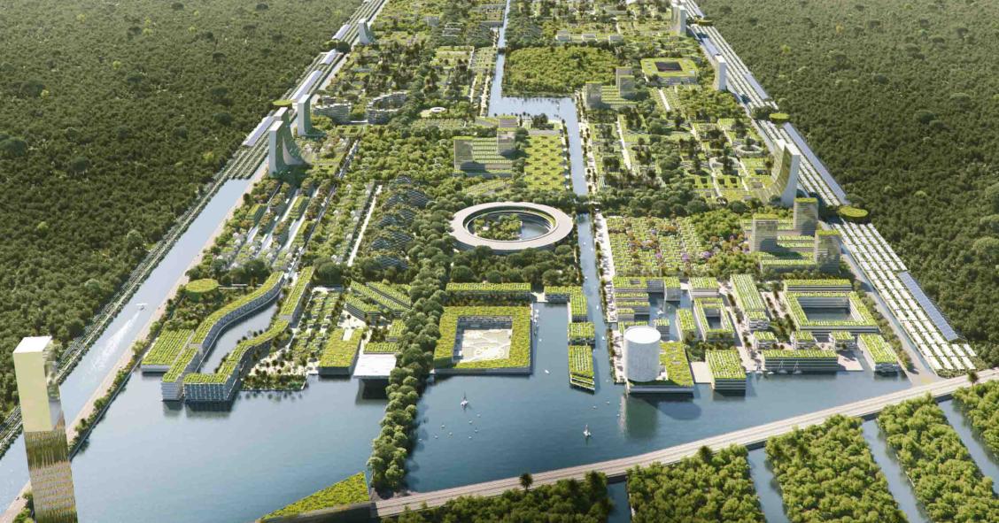 Smart City Forest