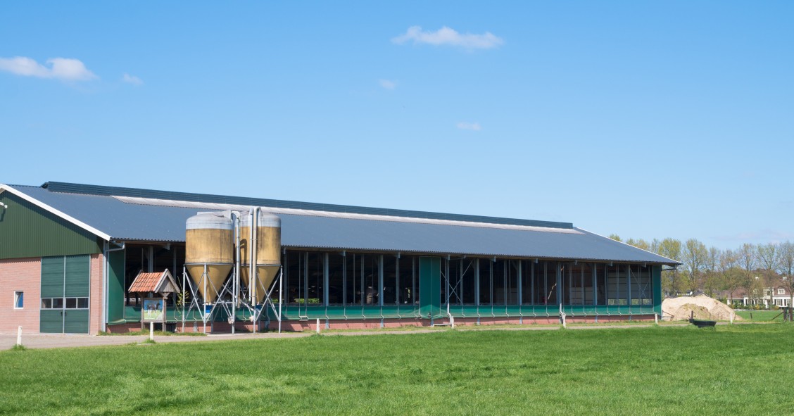 Imu sui capannoni 2019