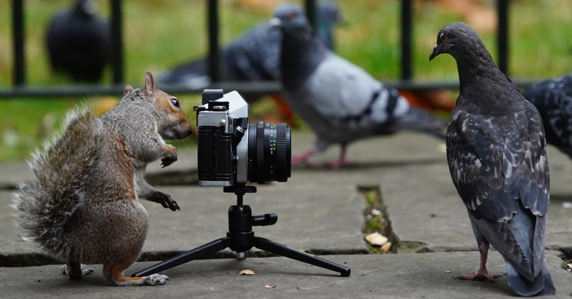 Cercasi fotografo a tempo pieno per girare il mondo, un milionario offre 34mila euro all’anno