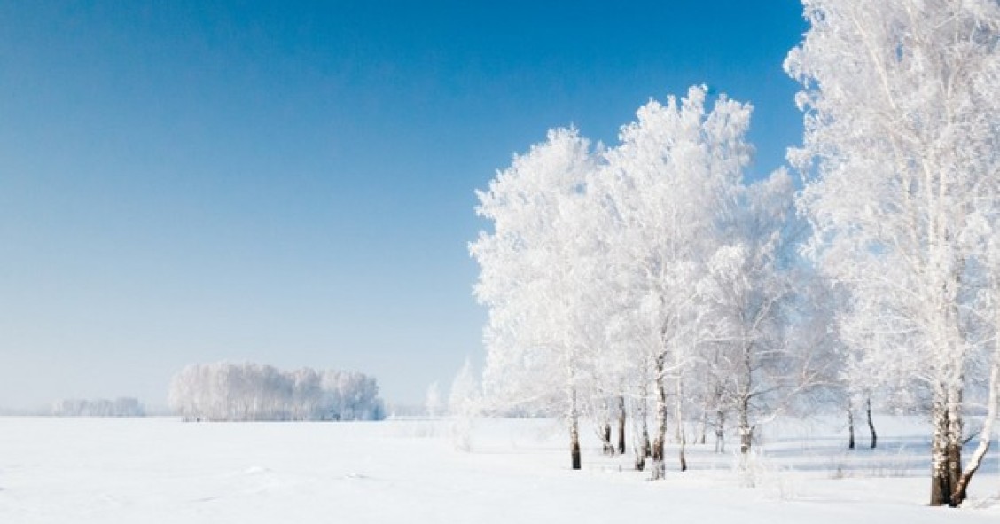 Un uomo d’affari russo ha messo in vendita un villaggio abitato per 300.000 euro