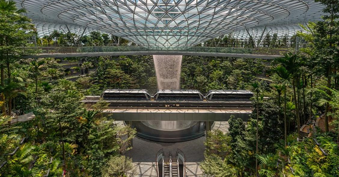 La più grande cascata al coperto del mondo: il capolavoro architettonico dell'aeroporto di Singapore