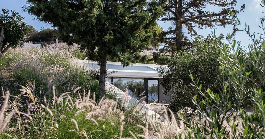 La spettacolare casa di lusso che si nasconde dietro questo rigoglioso giardino in un'isola greca