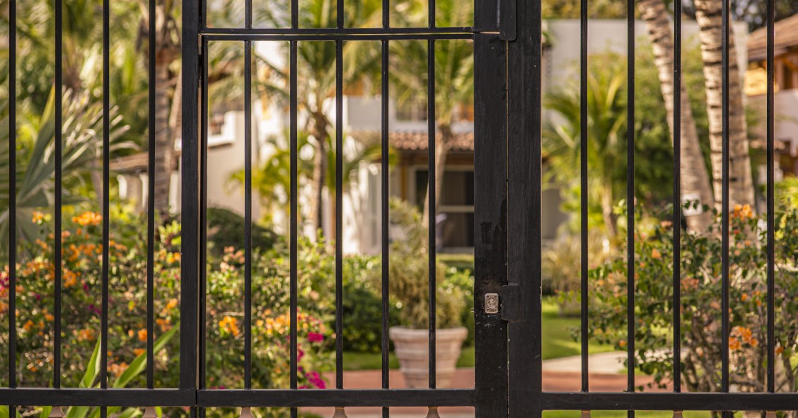 Come far sopravvivere le piante in casa quando si parte per le vacanze