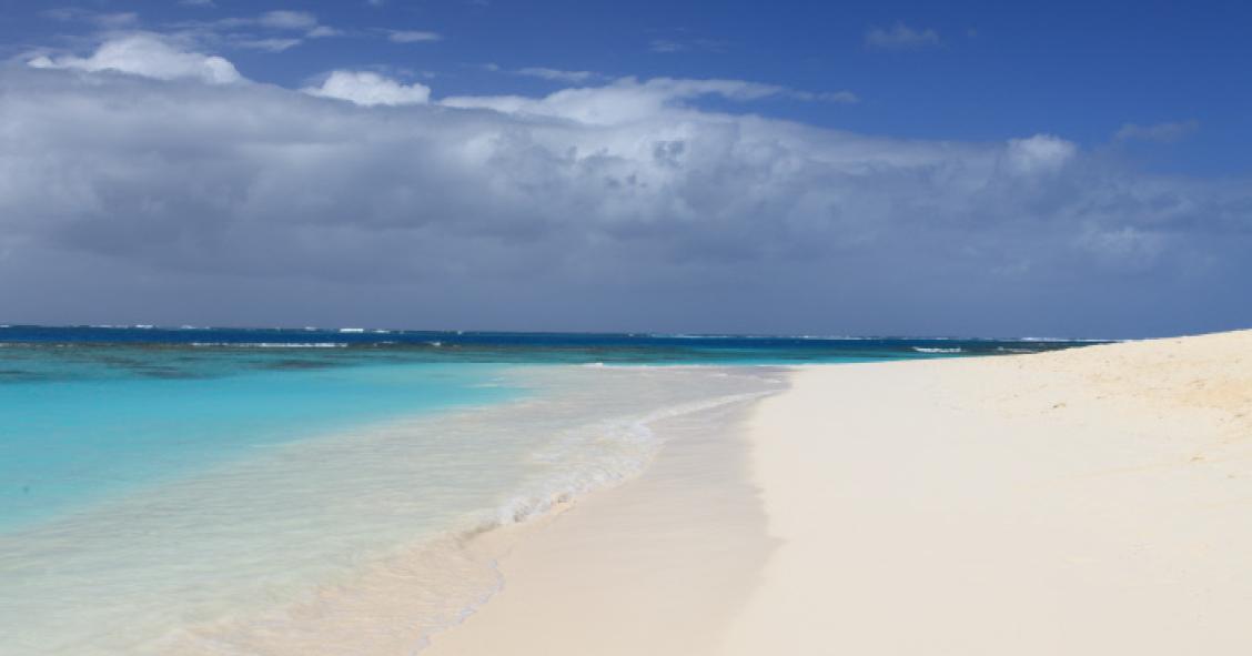 Anguilla, il paradiso naturale covid free dove lavorare in smart working per un anno