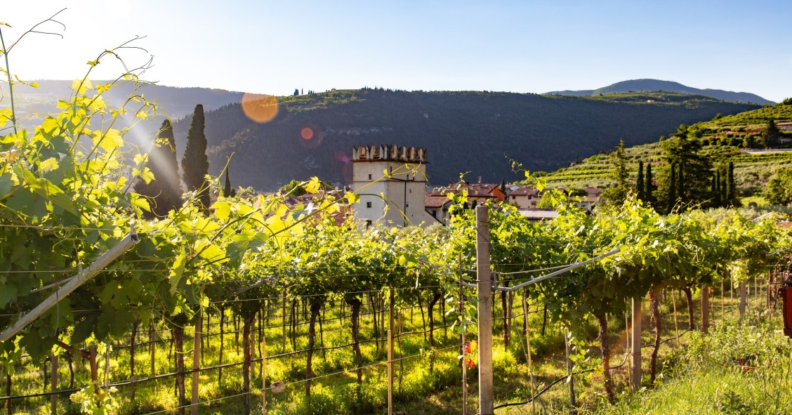 Photo de Daniel Vogel sur Unsplash