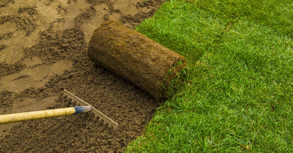 Bonus verde, quale metodo di pagamento si può utilizzare? 