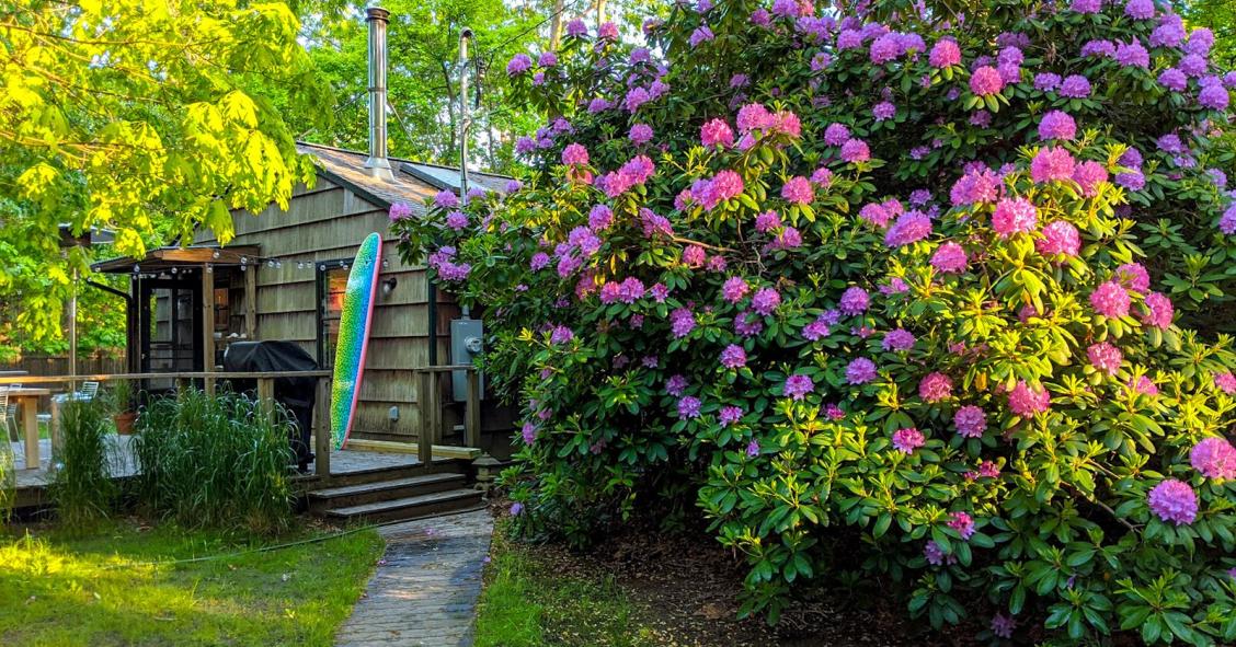 Una piccola casa sulla spiaggia per fare surf nell'"ultimo paradiso di New York"