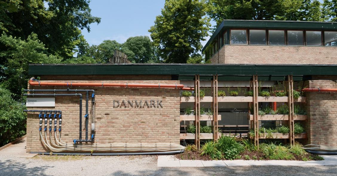 Un viaggio nel padiglione della Danimarca alla Biennale di Venezia, uno dei favoriti al Leone D'Oro