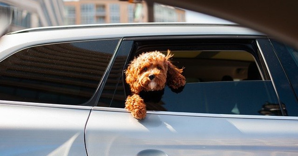 Ecobonus auto 2021, come richiederlo