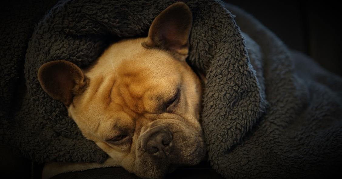 Come riscaldare casa senza gas (stando attenti al portafoglio)