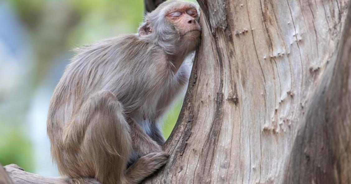 Regole e documenti antifrode per i bonus edilizi