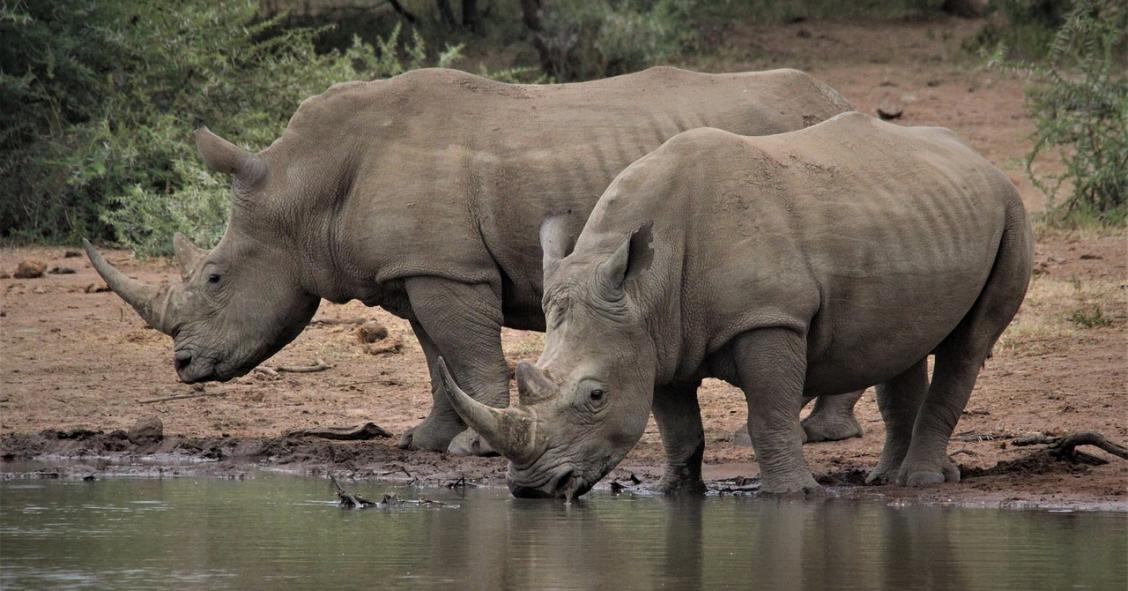 Bonus acqua potabile, al via l'invio del modello