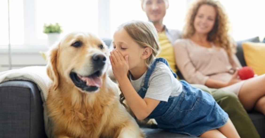 Bonus animali domestici 2022