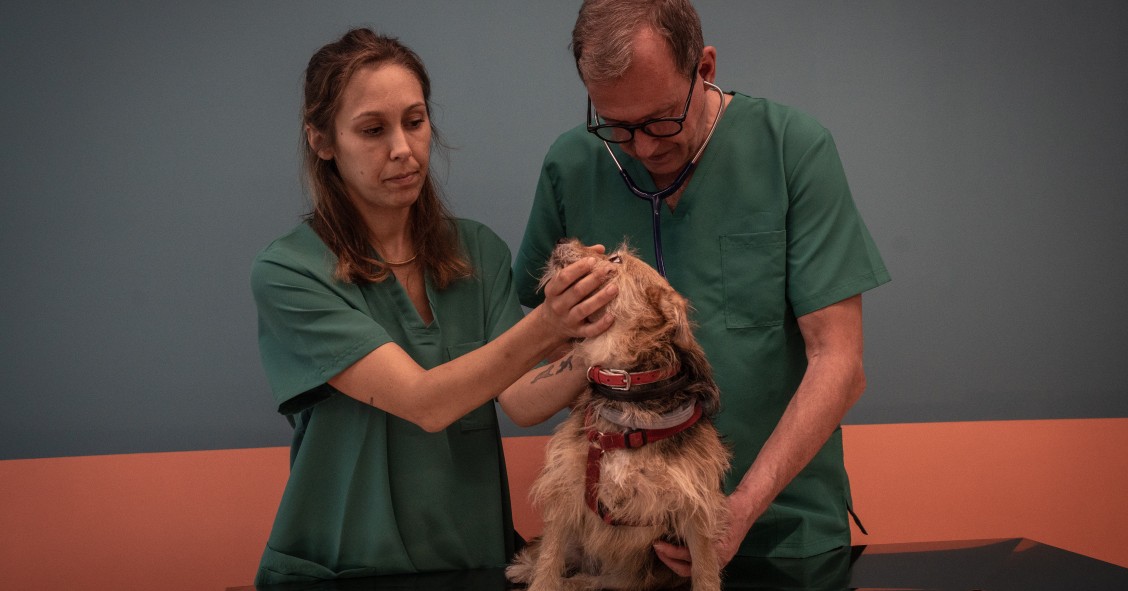 Ambulatorio veterinario sociale Roma