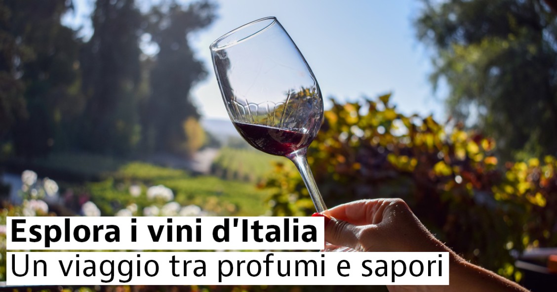 Esplora i vini d'Italia