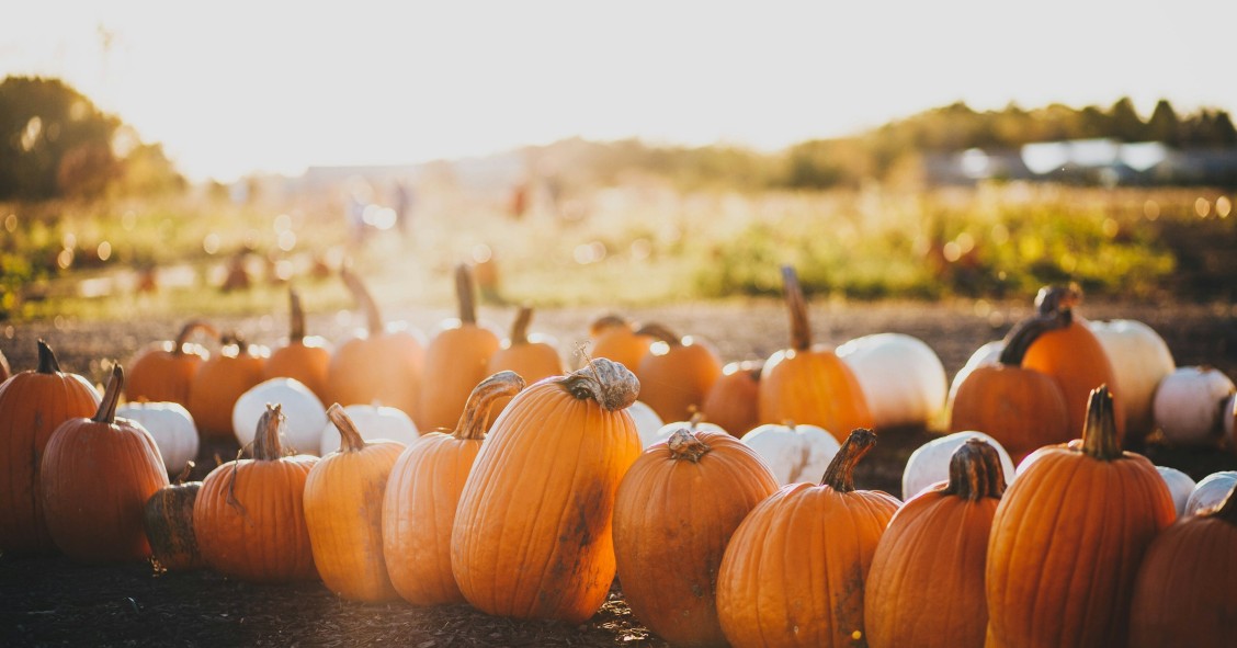 Pumpkin