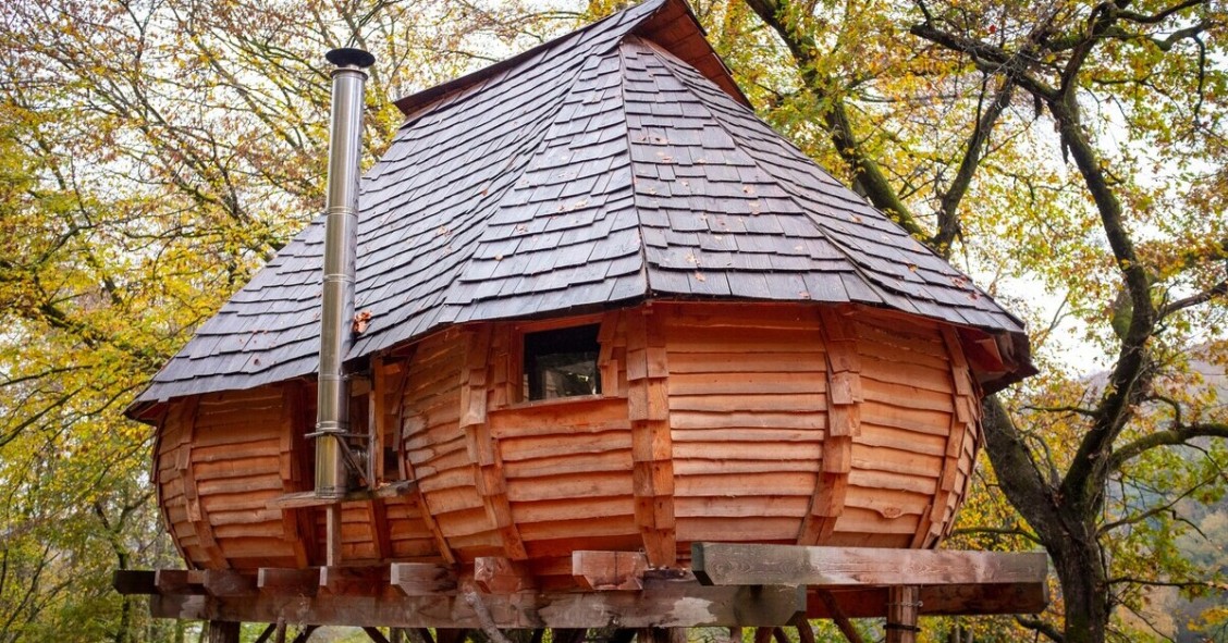 Una casa sull'albero dalla forma insolita