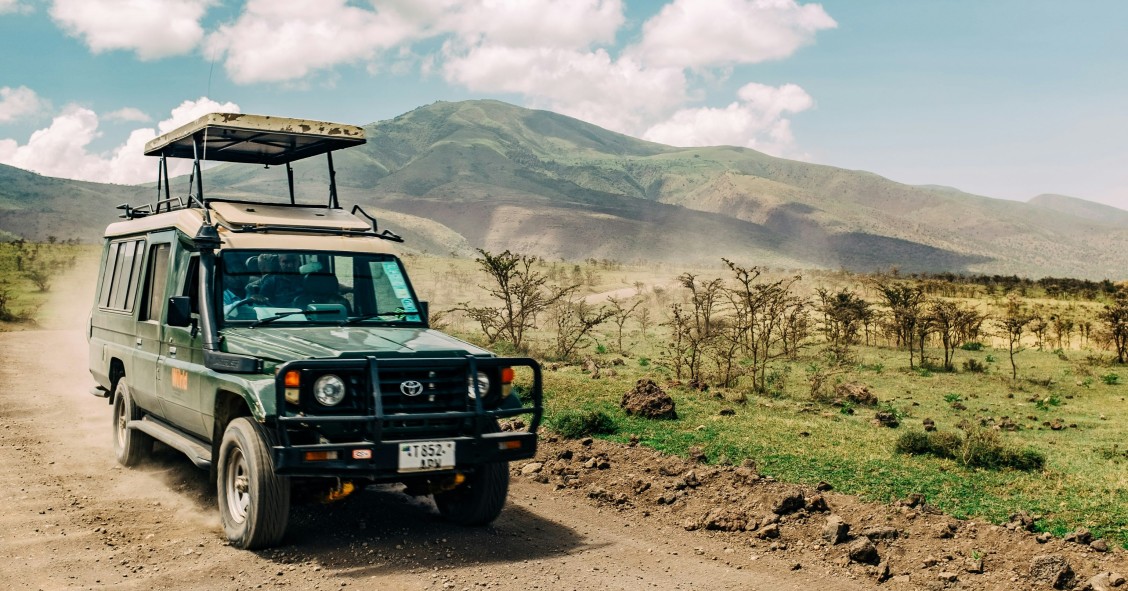 safari hopping