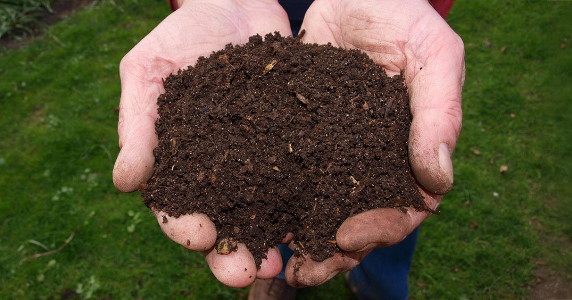 Compostaggio