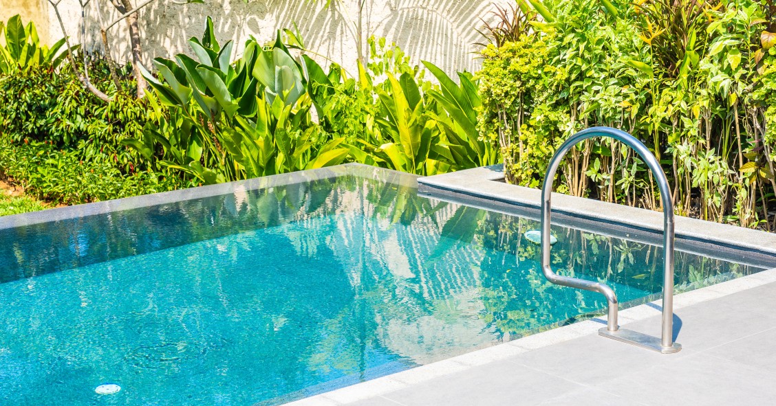 piante bordo piscina