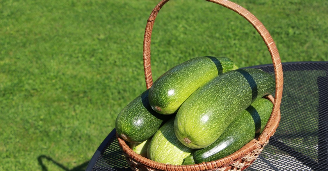 periodo zucchine