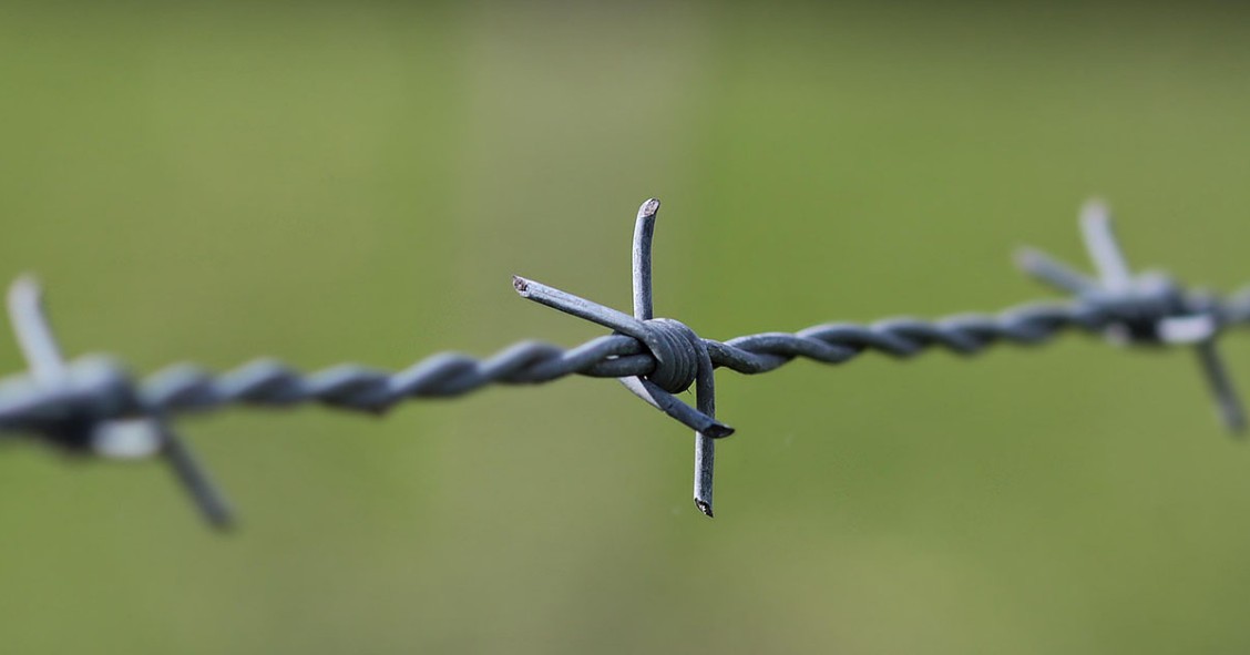 Filo spinato per la recinzione