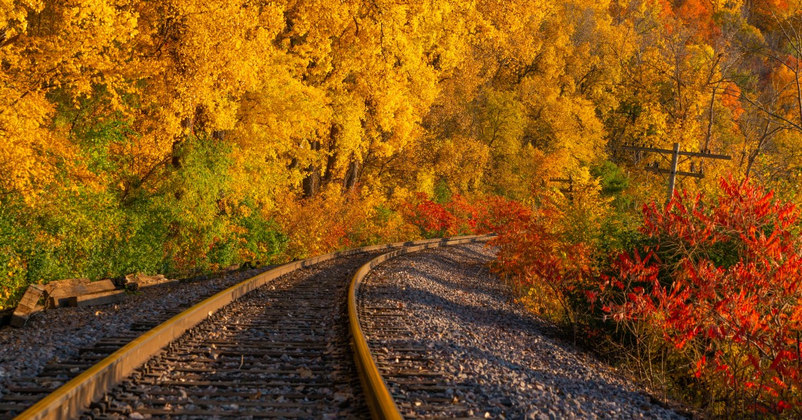 treno del foliage 2025 