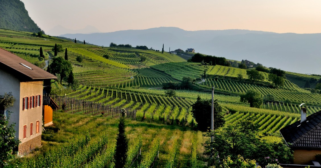 strada del vino alto adige
