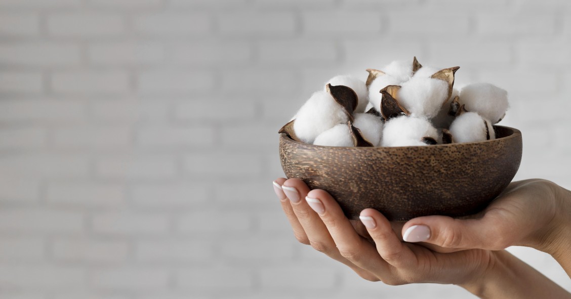 fiori di cotone