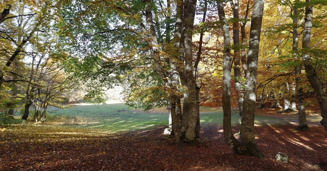 dove vedere il foliage in abruzzo