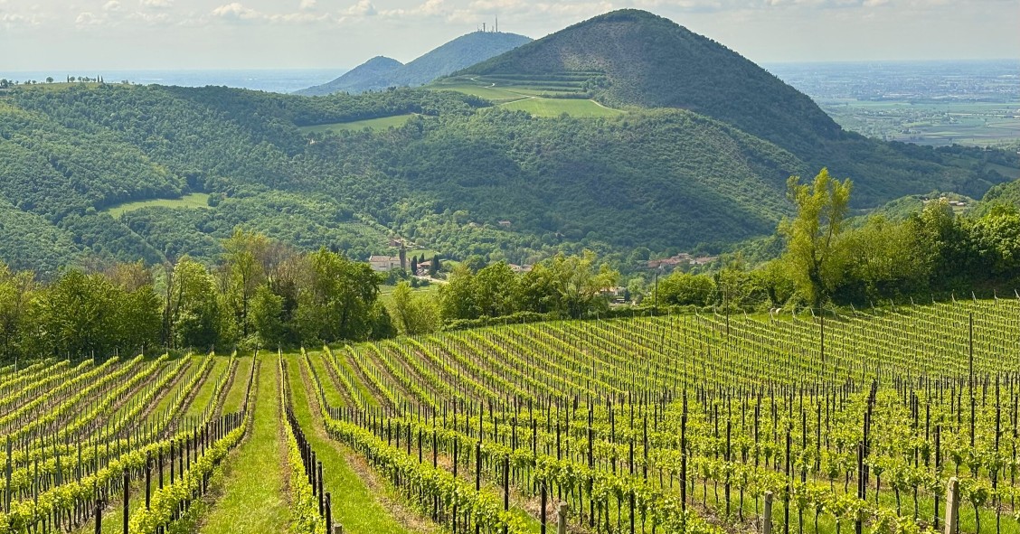 cosa vedere ai colli euganei