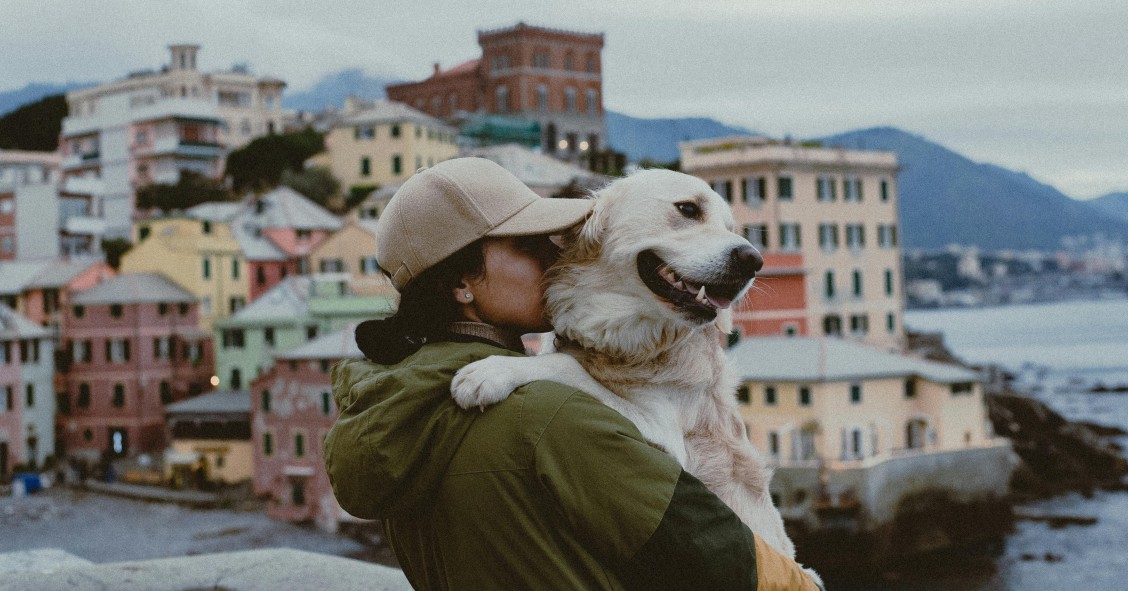 Pets in Italy holiday tax
