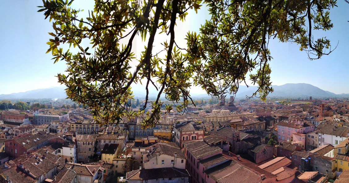 Things to do in Lucca