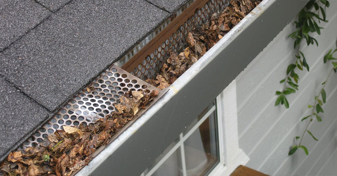 Foglie del vicino nella grondaia