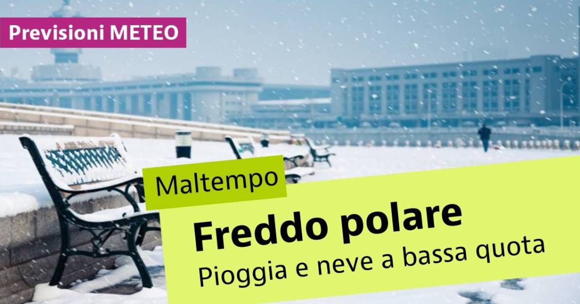 freddo polare