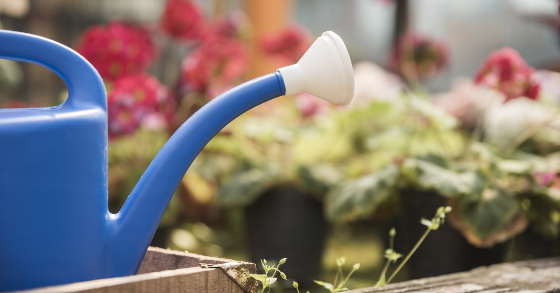 annaffiatura per immersione