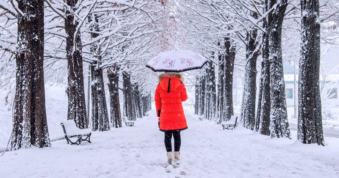 scuole chiuse 7 gennaio 2026