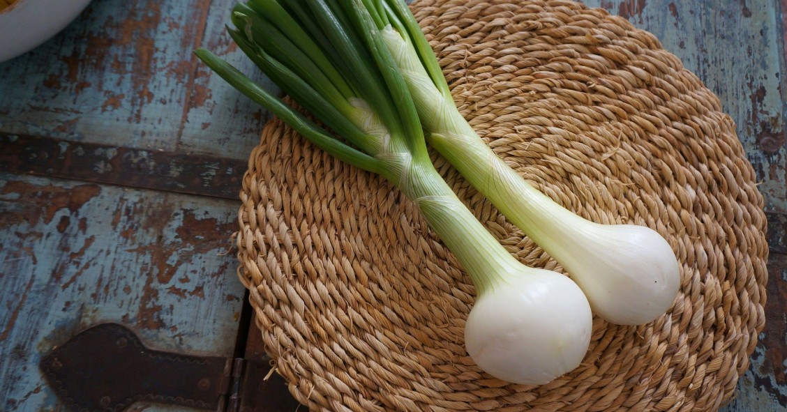 come coltivare il cipollotto