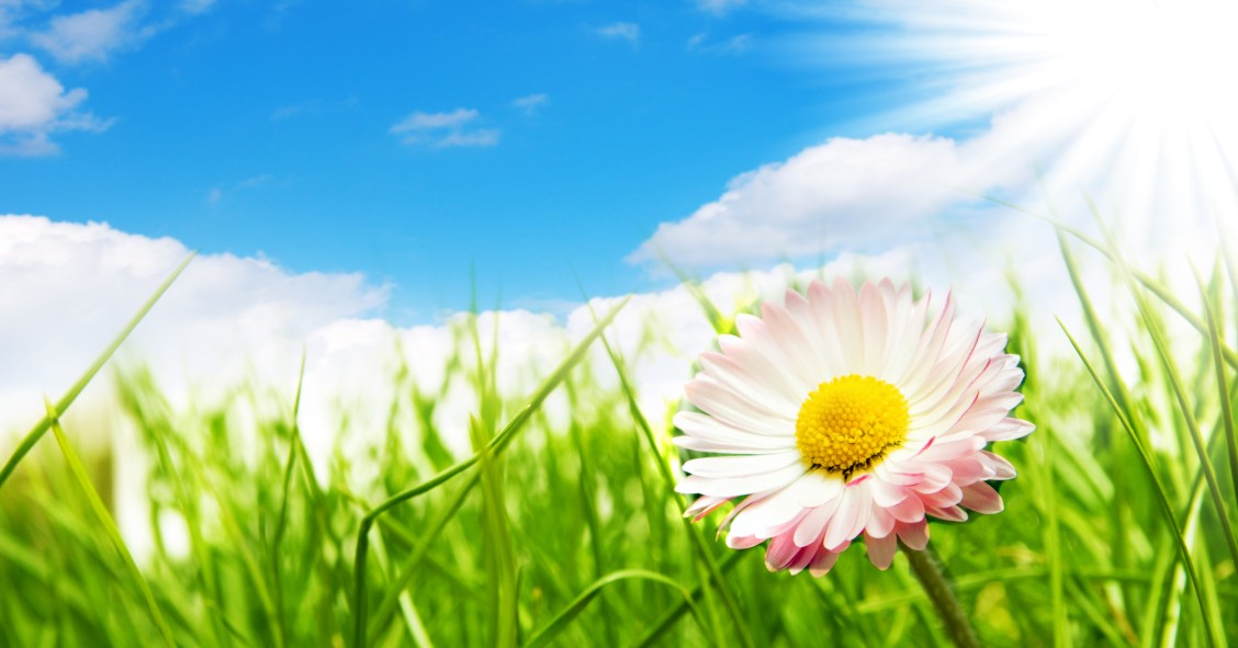 Primavera in settimana