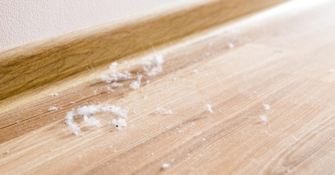 polvere sul pavimento in legno