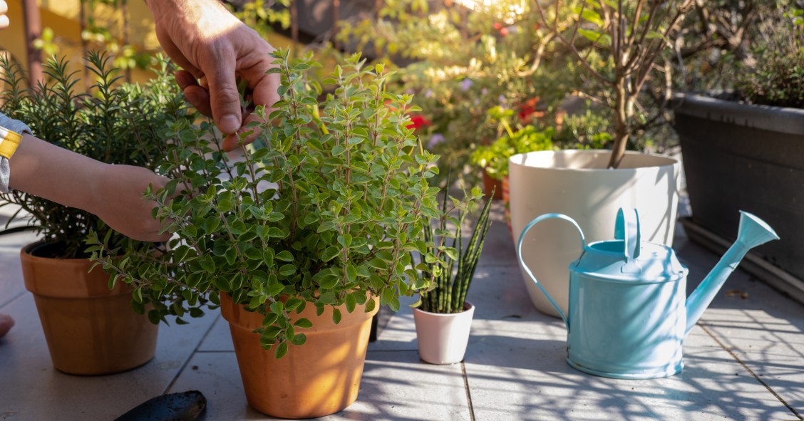 terrazzi arredati con fiori