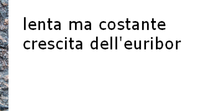 Previsioni euribor luglio 2010